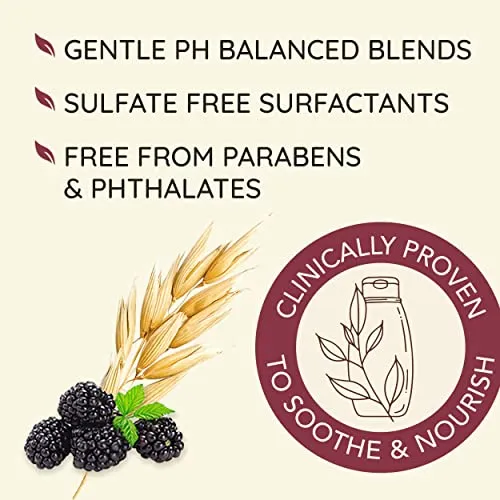 Aveeno Blackberry Quinoa Protein Blend Sulfate-Free Shampoo for Color-Treated Hair Protection, Daily Strengthening & Moisturizing Shampoo, Paraben & Dye-Free, 12 Fl Oz (Packaging may vary)