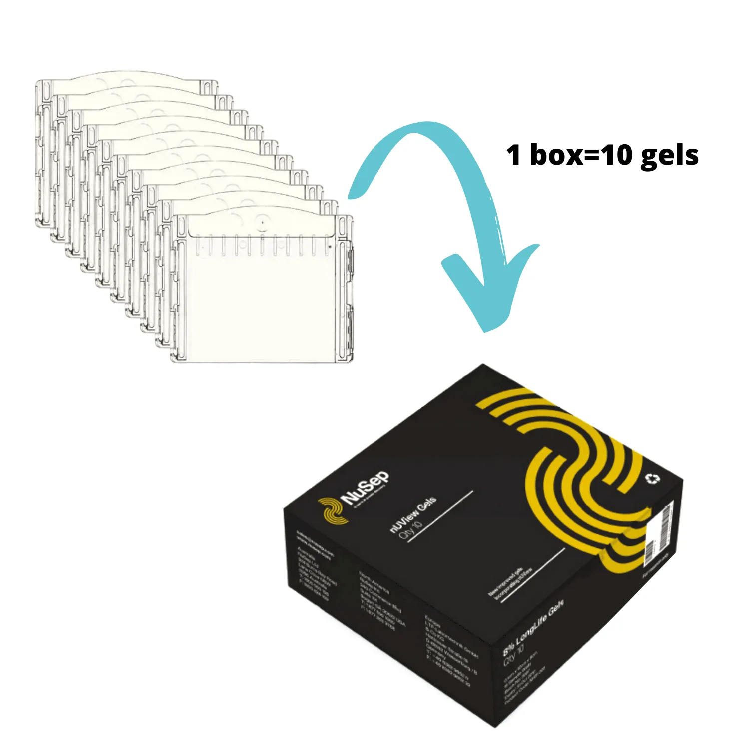 nUView™ Tris-Glycine UV reactive Precast Gel (NN)(Novex/Invitrogen)