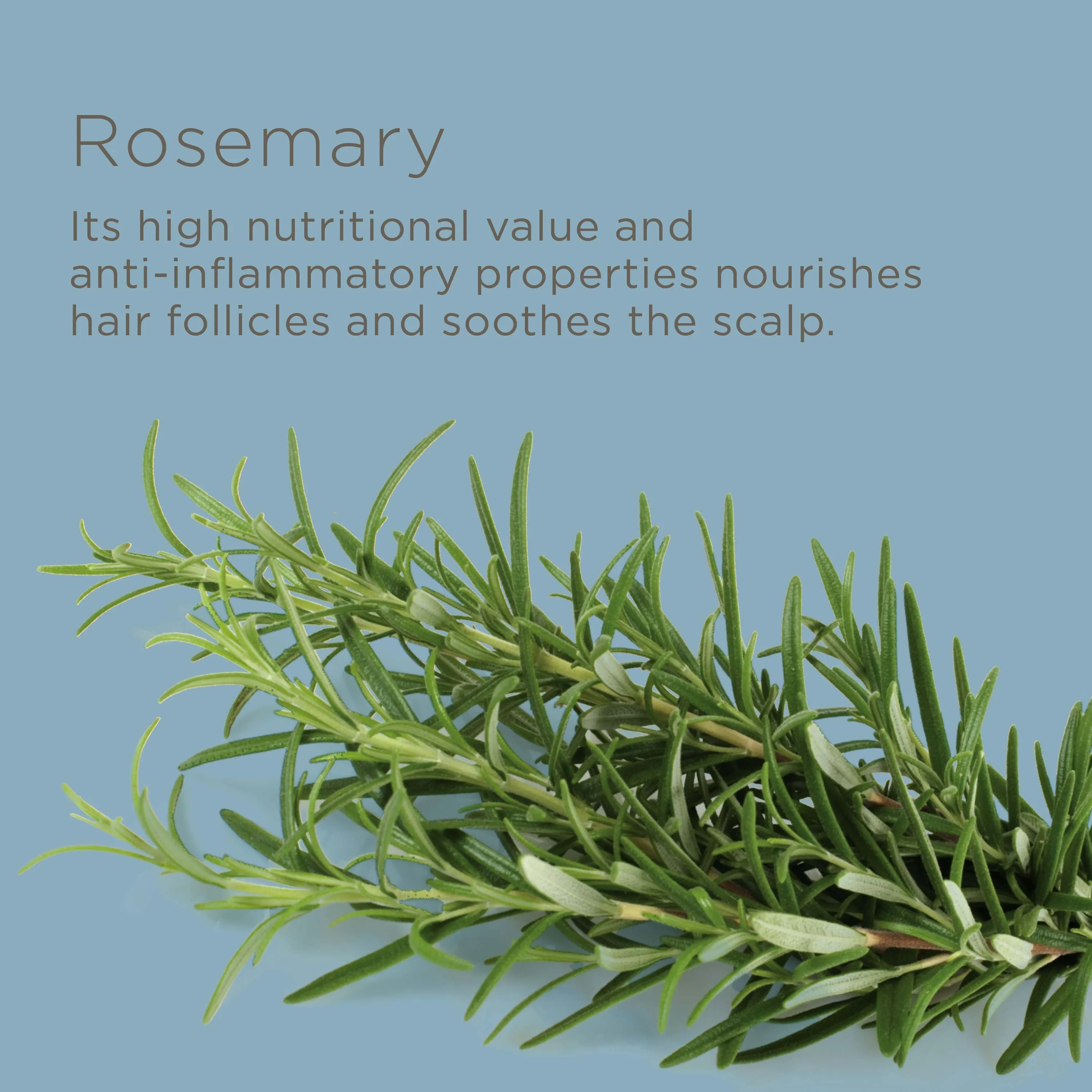 Perfect Dose Balancing Conditioner with Aloe Vera | For Dry, Oily & Sensitive Scalp, 13 fl oz