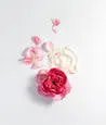 Rose’Water Facial Cream