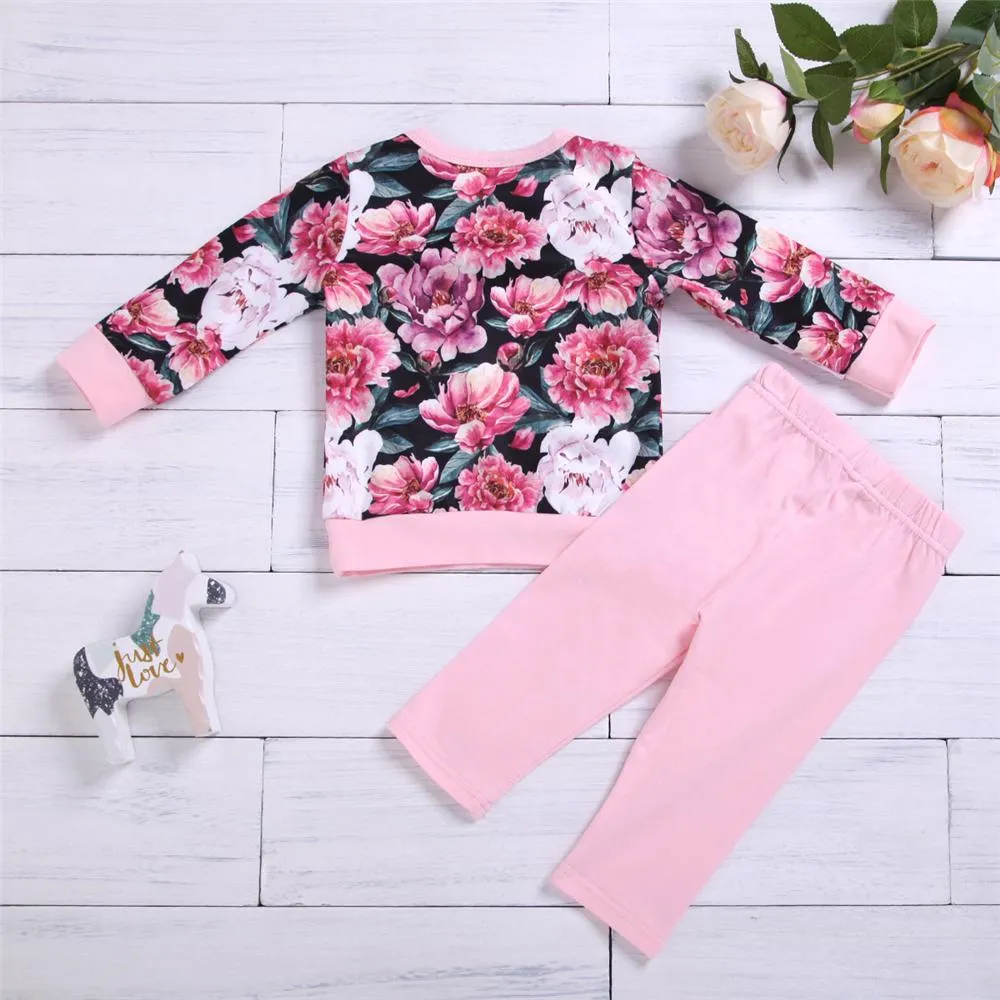 Toddler Girs Floral Printed Long Sleeve Top & Pants Toddler Girls Wholesale