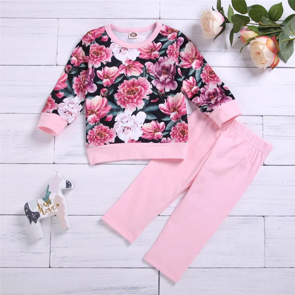 Toddler Girs Floral Printed Long Sleeve Top & Pants Toddler Girls Wholesale