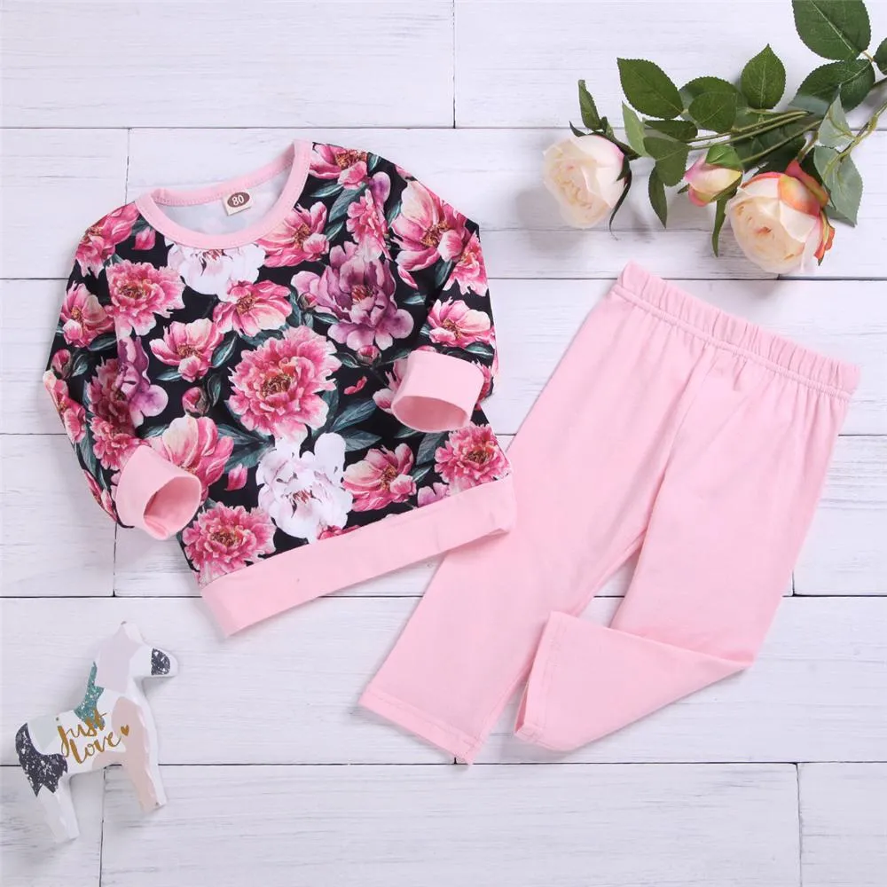 Toddler Girs Floral Printed Long Sleeve Top & Pants Toddler Girls Wholesale